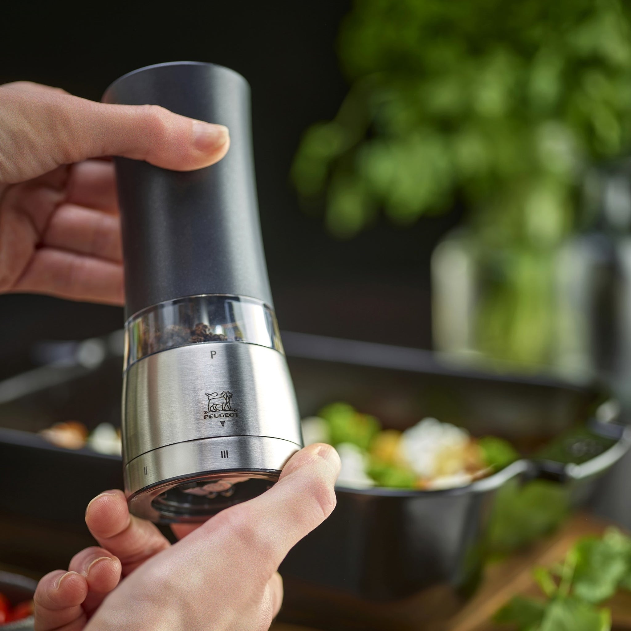 プジョー公式 ダマン 電動 43179 43186 – プジョーミル公式オンライン